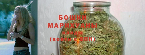 ECSTASY Медногорск