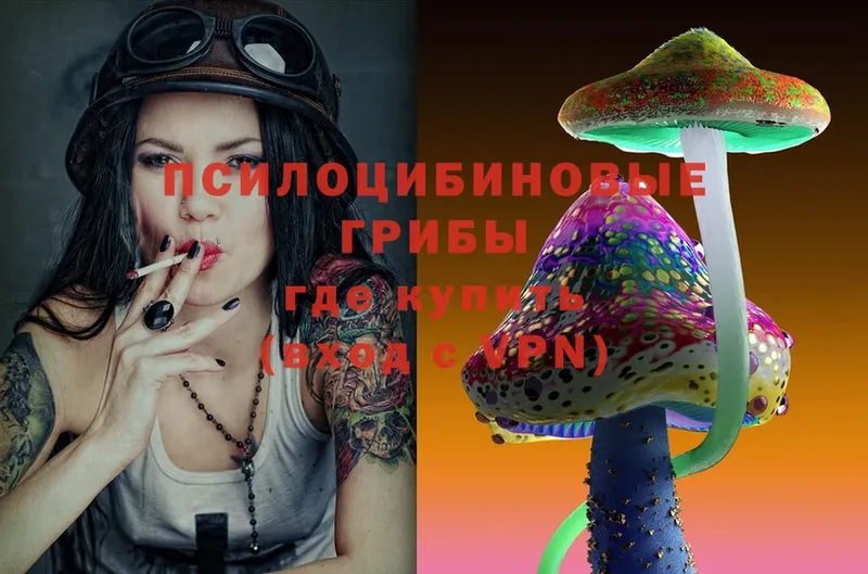 Псилоцибиновые грибы MAGIC MUSHROOMS  Лакинск 