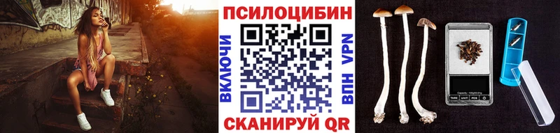 Галлюциногенные грибы Cubensis  площадка Telegram  Лакинск 